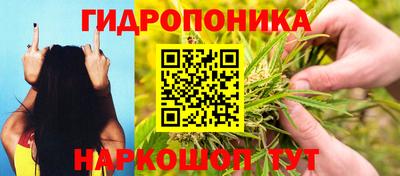 стафф Краснодар