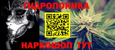 стафф Краснодар