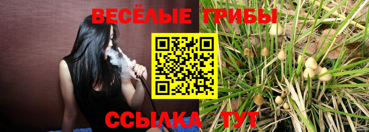 Галлюциногенные грибы Cubensis Королёв