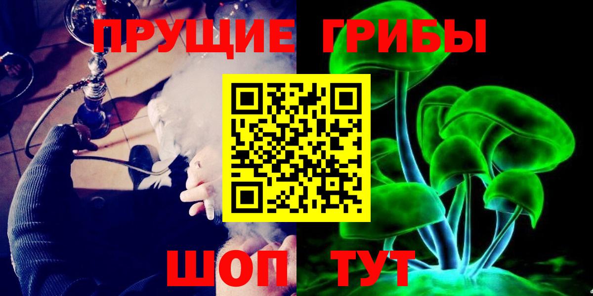 Галлюциногенные грибы Psilocybe  Вход с VPN  Галлюциногенные грибы Psilocybe  Королёв 